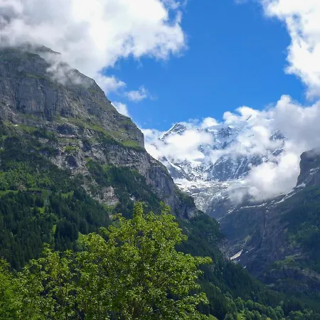 Apartment Chalet Fieschersunne Lejlighed Grindelwald
