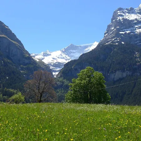 Lejlighed Apartment Chalet Fieschersunne Grindelwald