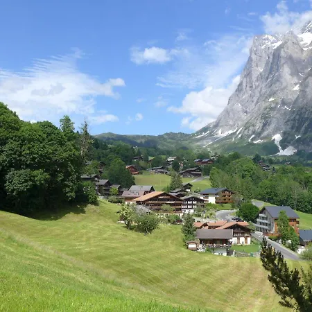 Lejlighed Apartment Chalet Fieschersunne